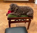Gallery Photo 8