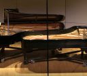 Gallery Photo 3