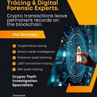 Best Cryptocurrency Recovery Services In the USA: https://vulnerabilitysaver.com