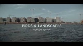 BIrds and Landscapes, 31st August, 2022, Halle 424 Hamburg